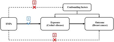 Appraising the causal association between Crohn’s disease and breast cancer: a Mendelian randomization study